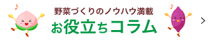野菜づくりのノウハウ満載　お役立ちコラム