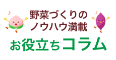 野菜づくりのノウハウ満載　お役立ちコラム