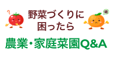 野菜づくりに困ったら　農業菜園Q＆A